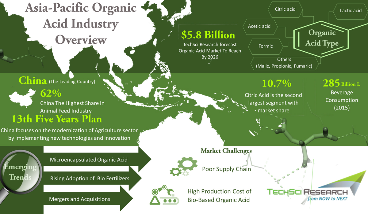 APAC Organic Acid Market